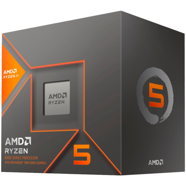 Amd настолен (100-100001591BOX)