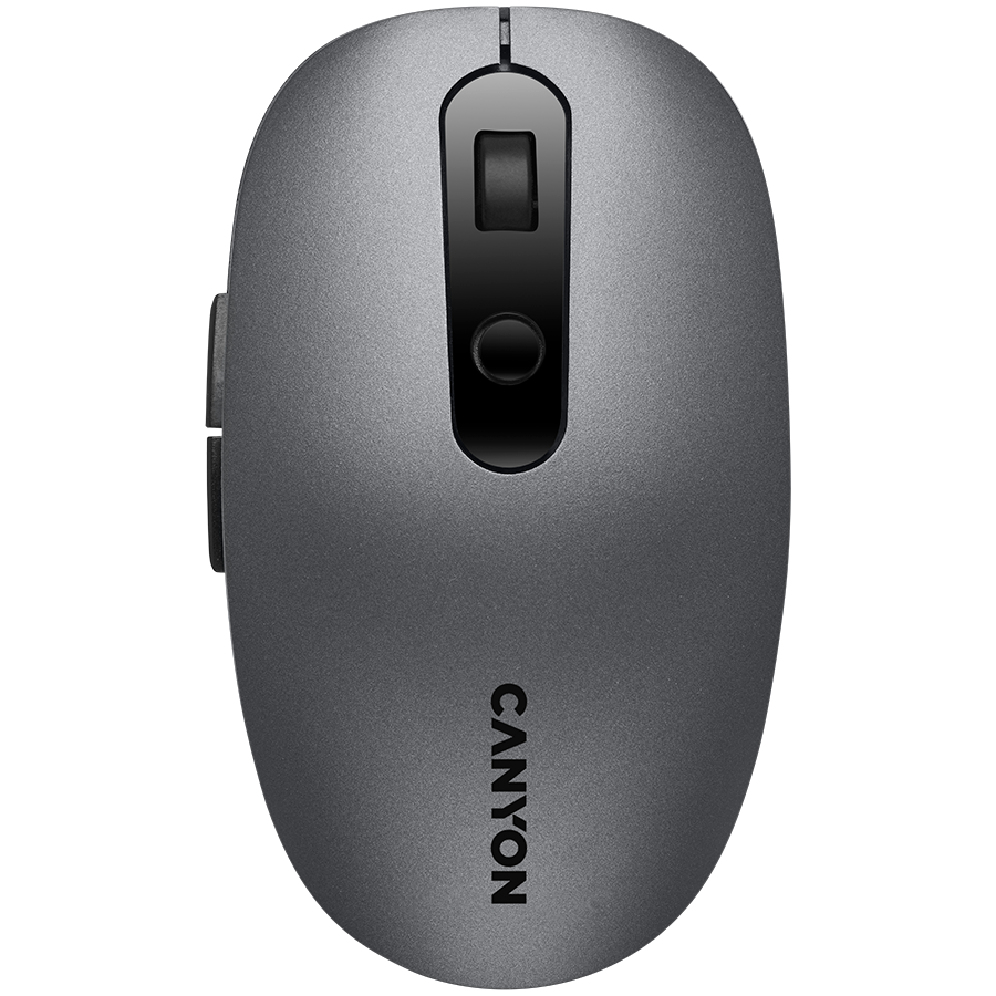 Canyon Мишка (CNS-CMSW09DG)