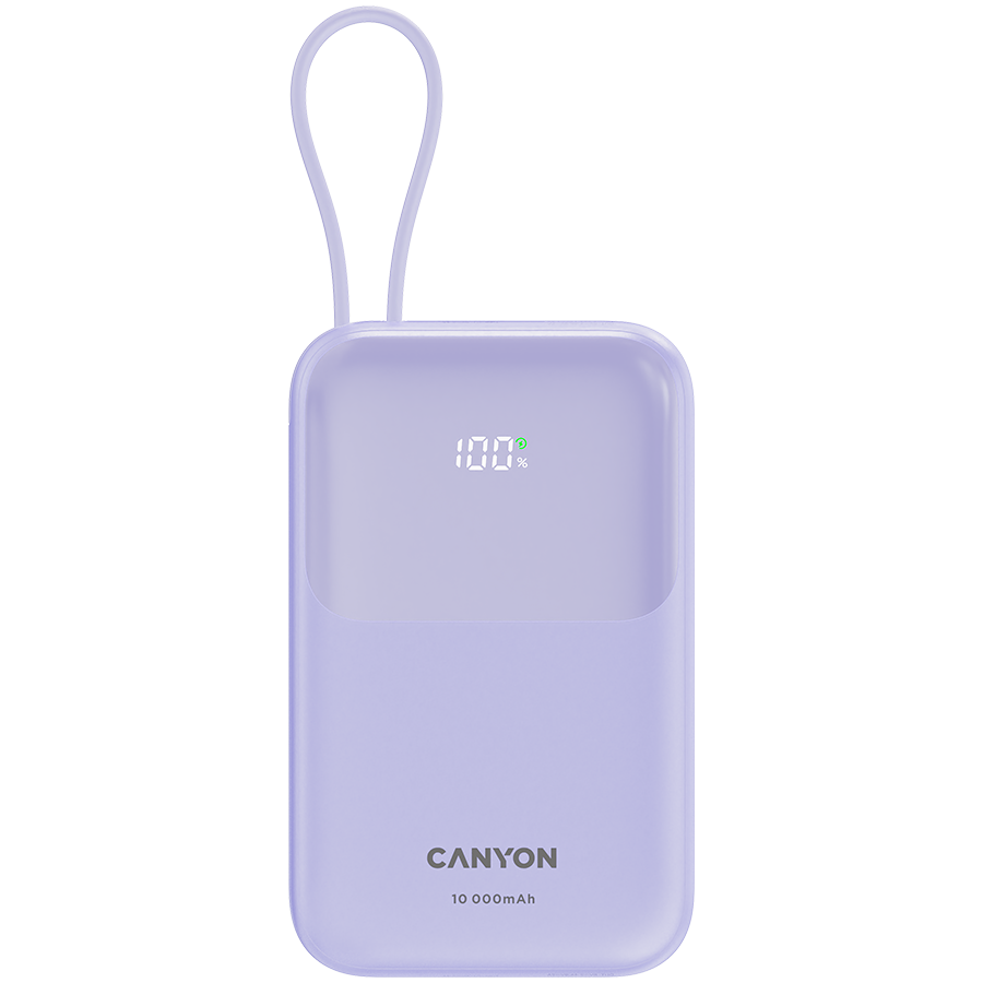 Canyon Зарядно устройство (CNS-CPB101PU)