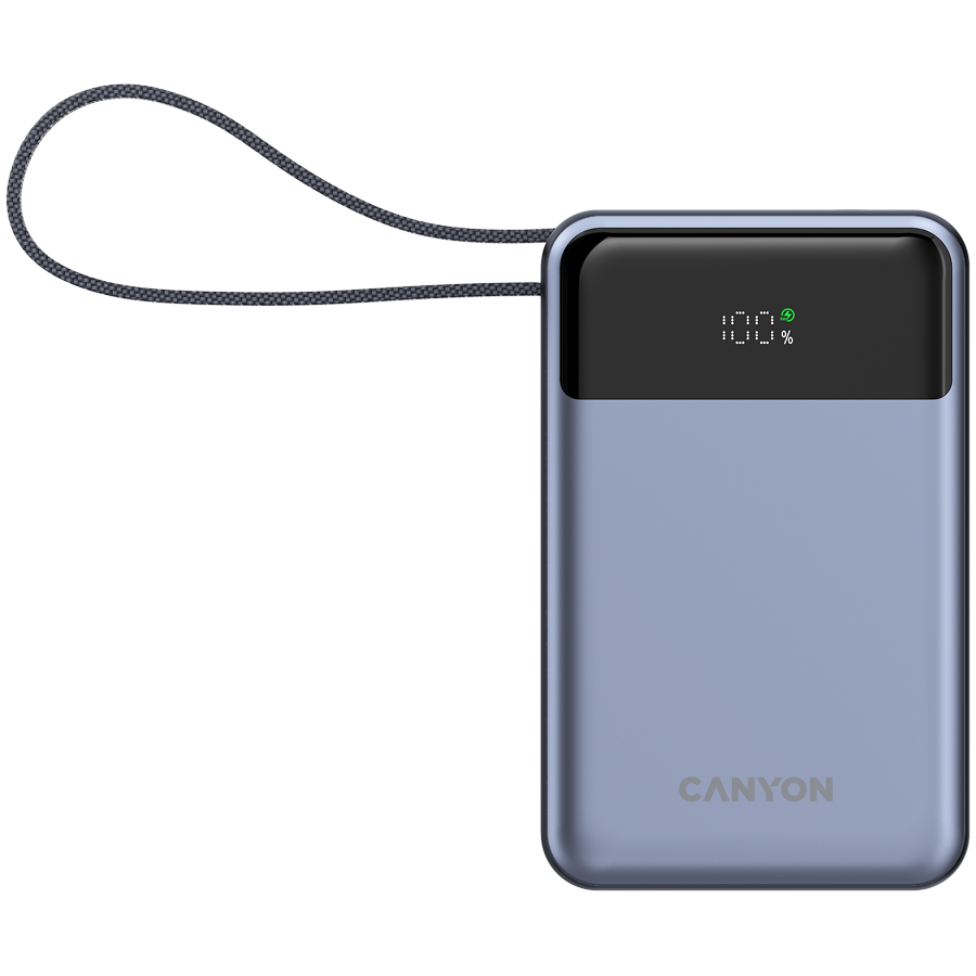 Canyon Зарядно устройство (CNS-CPB600DG)