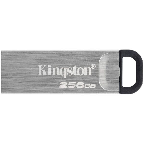 Kingston USB флаш памет (DTKN/256GB)