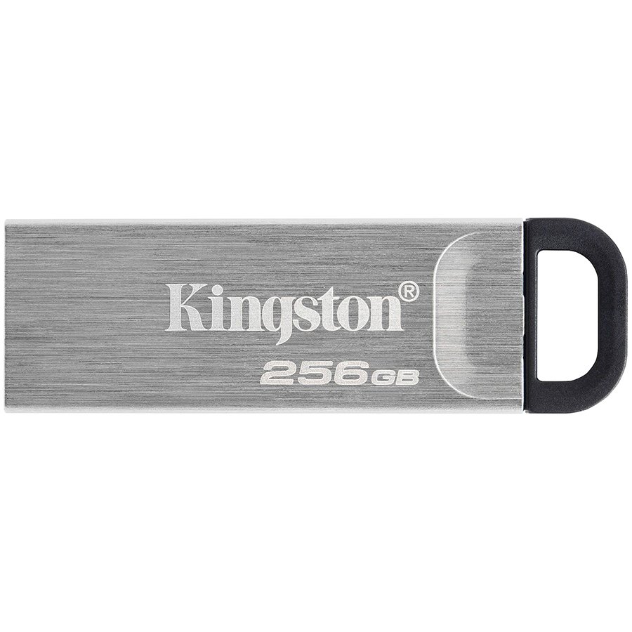 Kingston USB флаш памет (DTKN/256GB)