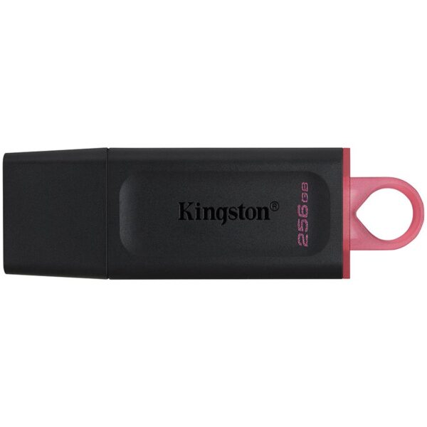 Kingston USB флаш памет (DTX/256GB)