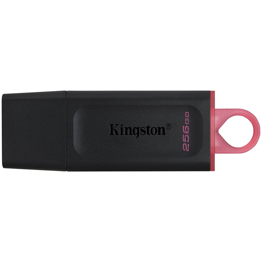 Kingston USB флаш памет (DTX/256GB)