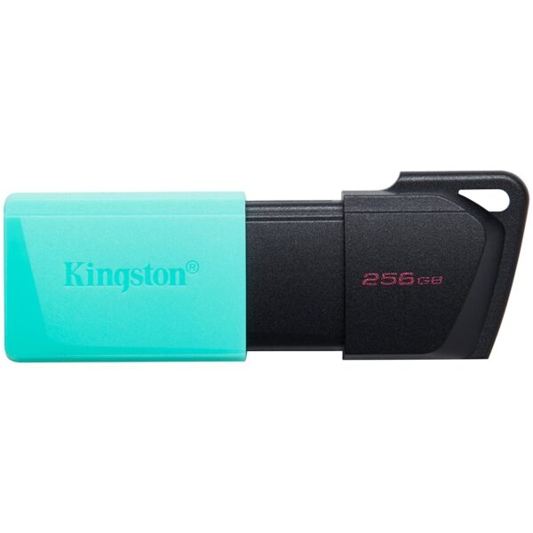 Kingston USB флаш памет (DTXM/256GB)