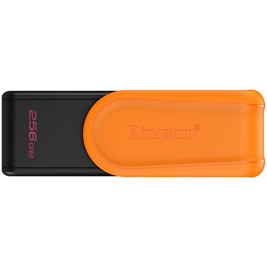 Kingston USB флаш памет (DTXS/256GB)