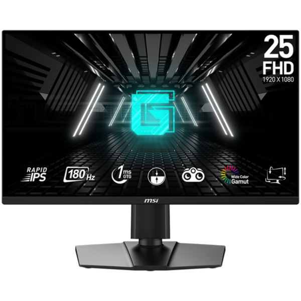 Msi LED Монитор (G255PF_E2)
