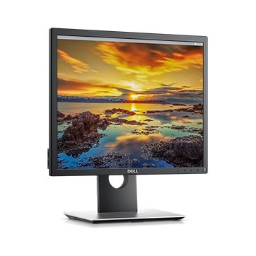 Dell LED Монитор (P1917S-14)