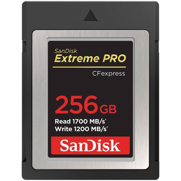 Sandisk Флаш памети (SDCFE-256G-GN4NN)