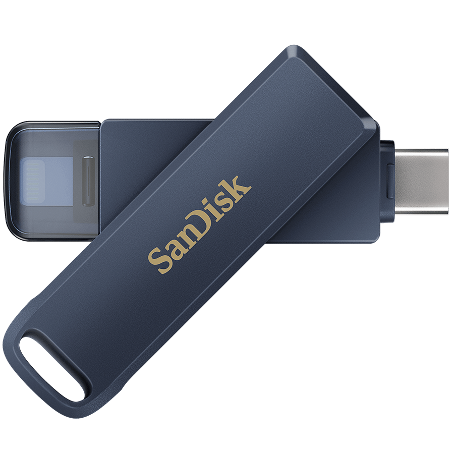 Sandisk Флаш памети (SDIXD0N-064G-GN6NN)