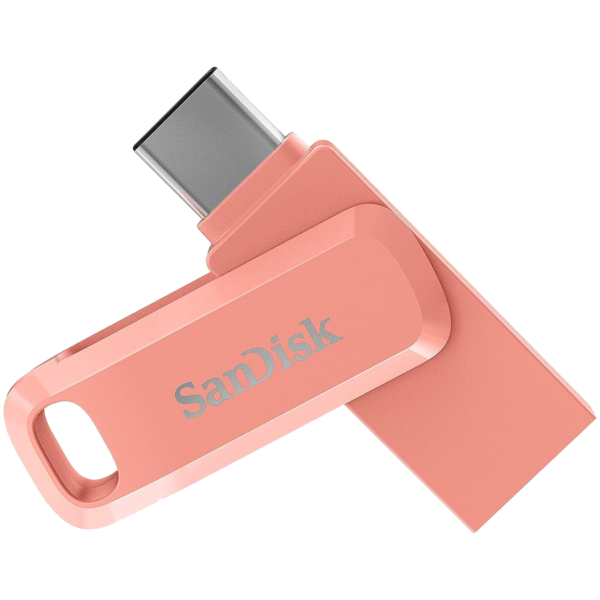 Sandisk Флаш памети (SDIXS0N-1T00-GN6NG)