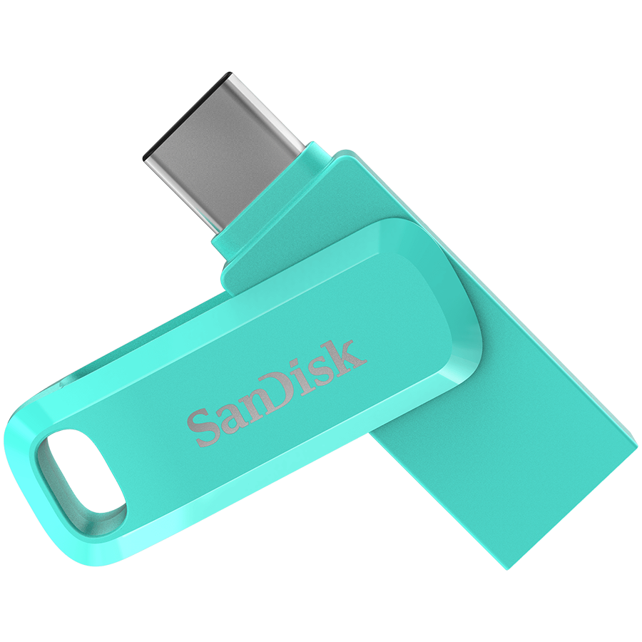 Sandisk Флаш памети (SDIXS0N-1T00-GN6NQ)