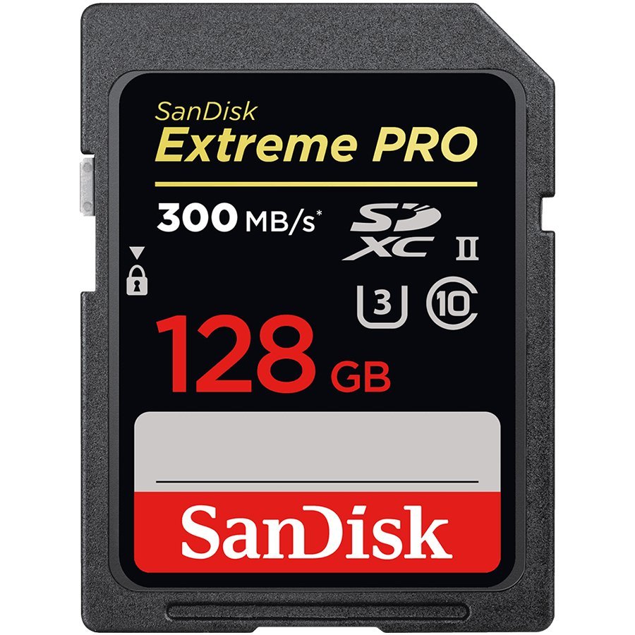 Sandisk Флаш памети (SDSDXDK-128G-GN4IN)
