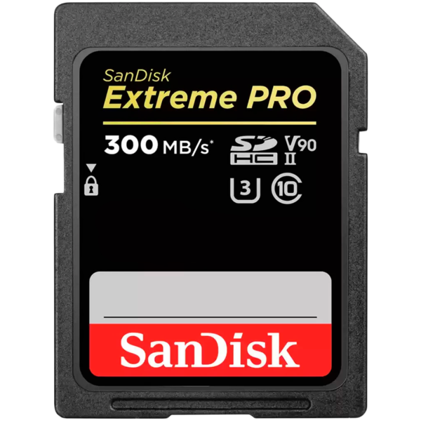 Sandisk Флаш памети (SDSDXDK-256G-GN4IN)