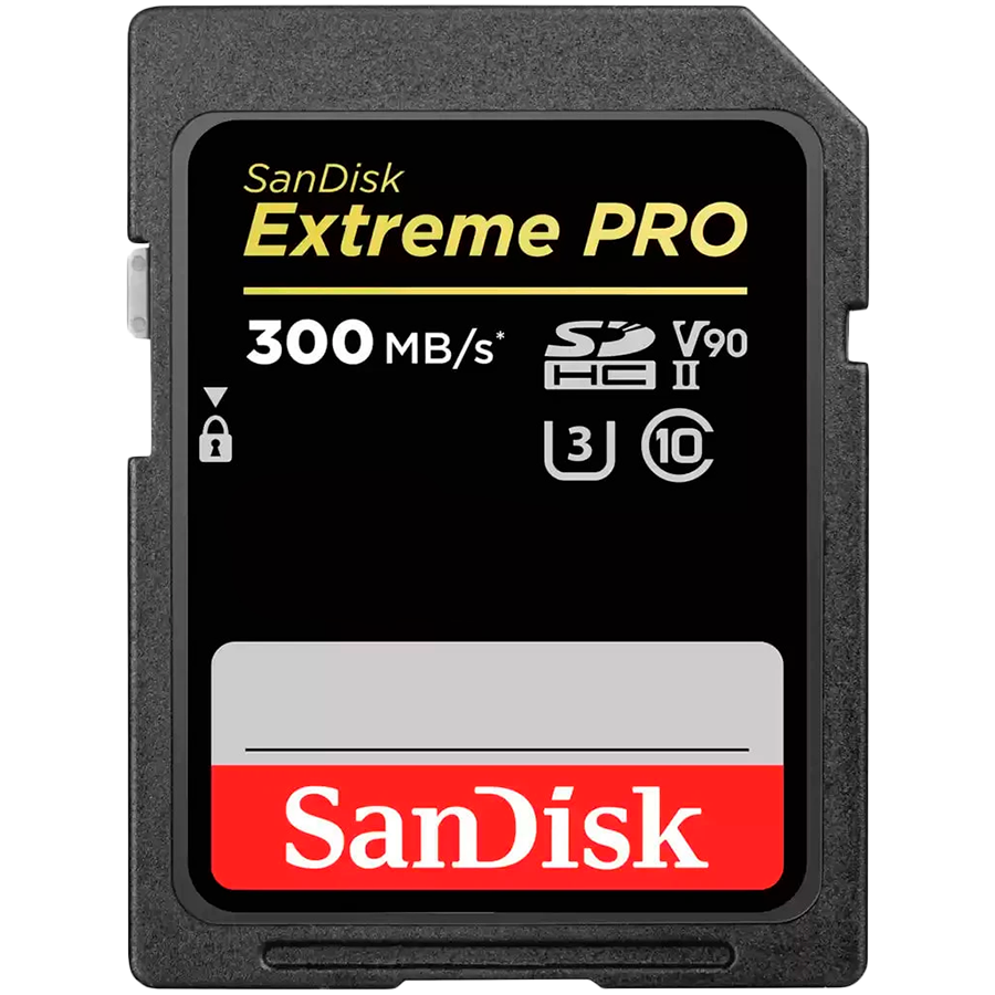 Sandisk Флаш памети (SDSDXDK-256G-GN4IN)