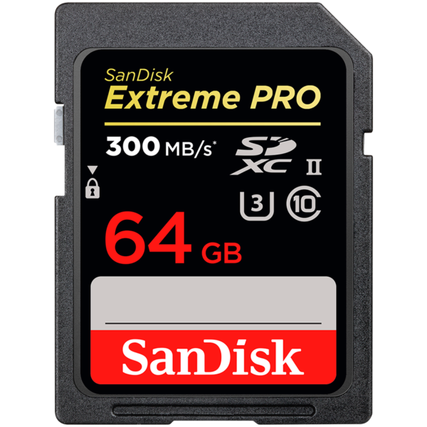 Sandisk Флаш памети (SDSDXEP-064G-GN4IN)