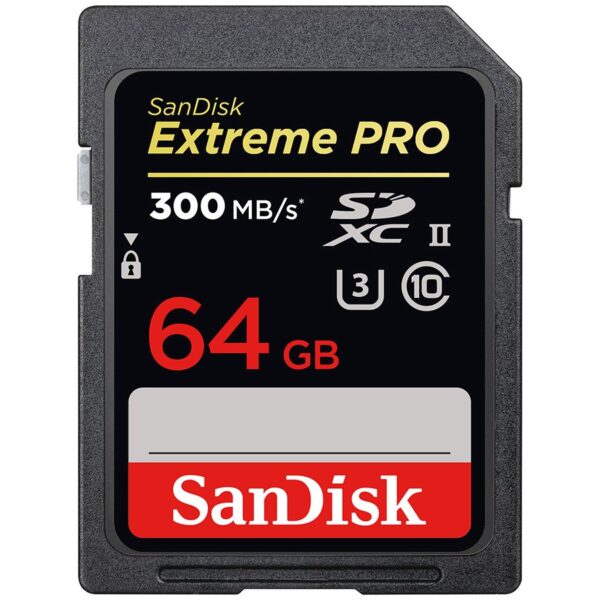 Sandisk Флаш памети (SDSDXPK-064G-GN4IN)