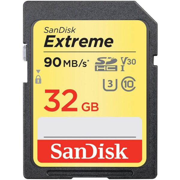 Sandisk Флаш памети (SDSDXVE-032G-GNCIN)