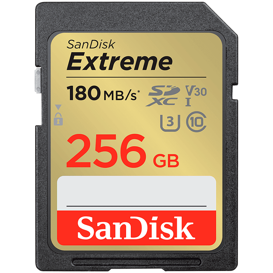 Sandisk Флаш памети (SDSDXVV-256G-GNCIN)