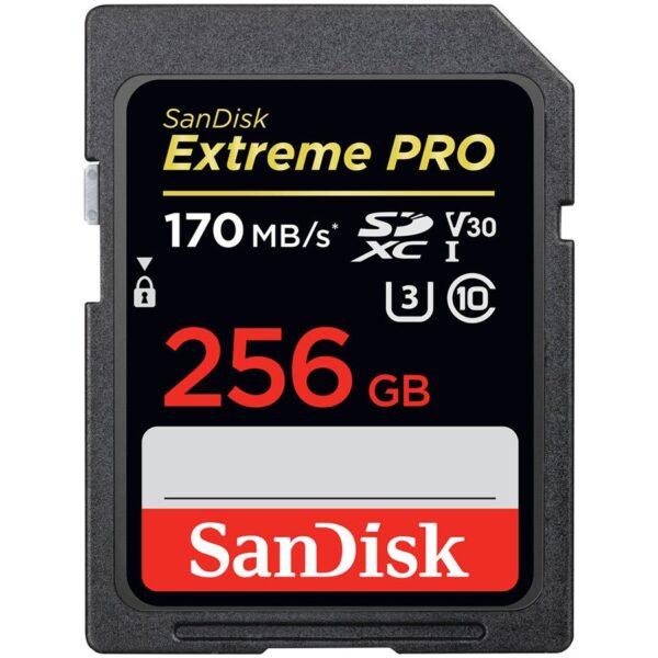 Sandisk Флаш памети (SDSDXXY-256G-GN4IN)
