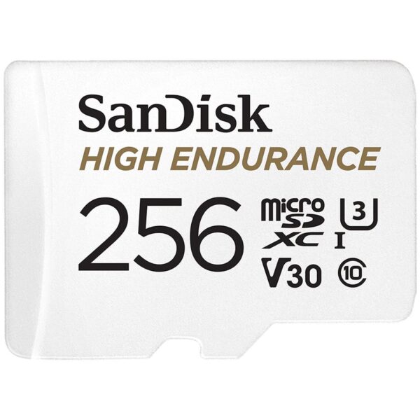 Sandisk Флаш памети (SDSQQNR-256G-GN6IA)